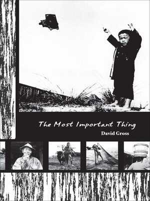 cover image of The Most Important Thing